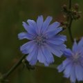 dsc04493