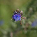 dsc04548