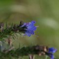 dsc04550