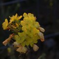 dsc04588