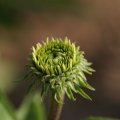 dsc04640