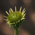dsc04652