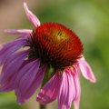 dsc04656