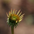 dsc04660