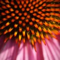 dsc04690