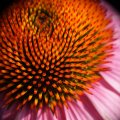 dsc04693