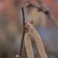 dsc05830