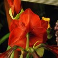 dsc06539