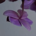 dsc06828
