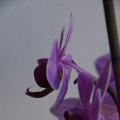 dsc06831