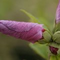 dsc07826