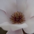 dsc02575