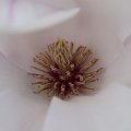 dsc02576