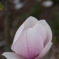 dsc02577