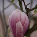 dsc02578