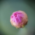 dsc02587