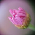 dsc02588