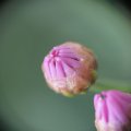 dsc02589