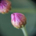 dsc02590