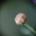 dsc02592