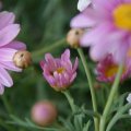 dsc02597