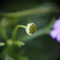 dsc02605