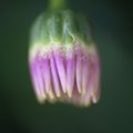 dsc02609
