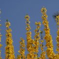 dsc02618