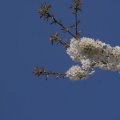 dsc02634