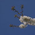 dsc02635