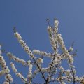 dsc02640