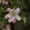 dsc02719