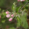 dsc02720