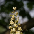 dsc02735
