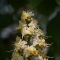 dsc02738