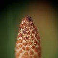 dsc02767