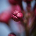 dsc02797