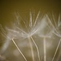 dsc02808