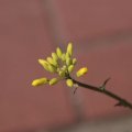 dsc03061