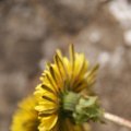 dsc03103