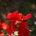 dsc03117