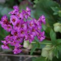 dsc03128