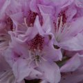 dsc03134