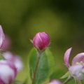 dsc03141