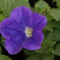 dsc03156