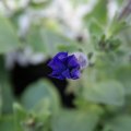 dsc03157