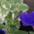 dsc03158