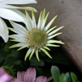 dsc03161