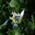 dsc03164