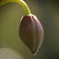 dsc03186